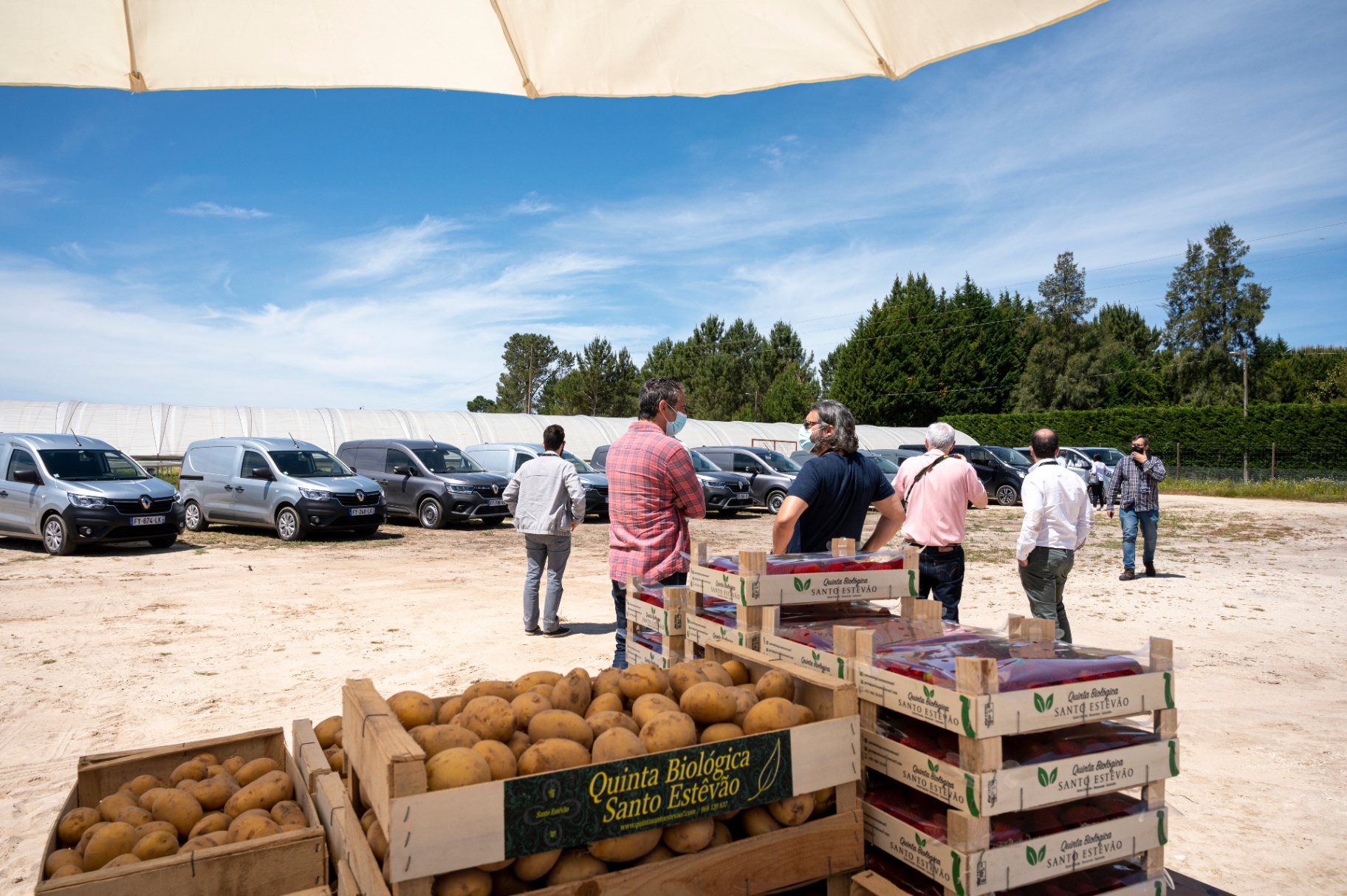 Jornalistas junto a caixas de batatas e frutos vermelhos da Quinta Biológica Santo Estêvão
