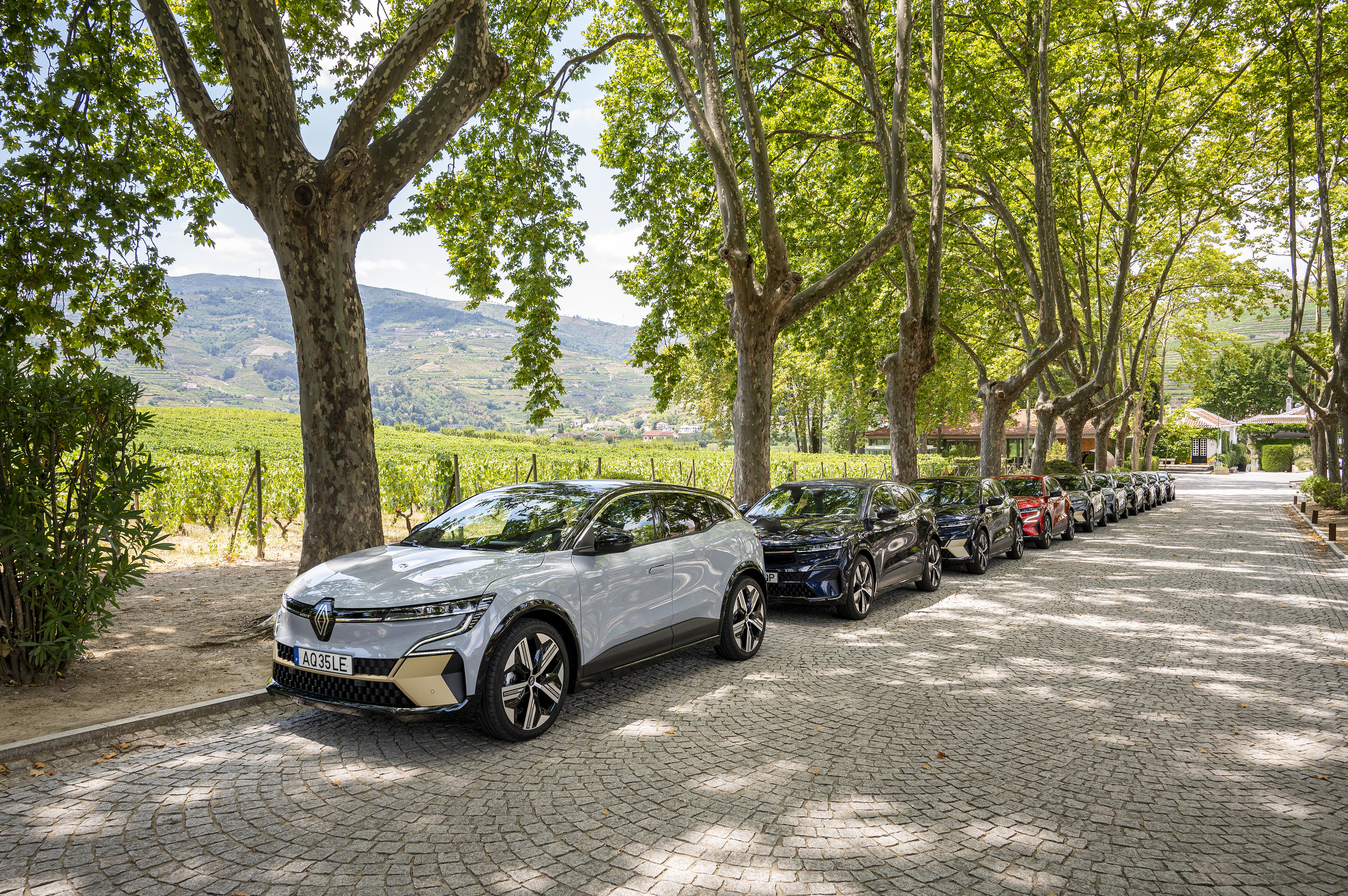 Frota de Mégane E-Tech alinhada sob plátanos numa quinta do Douro