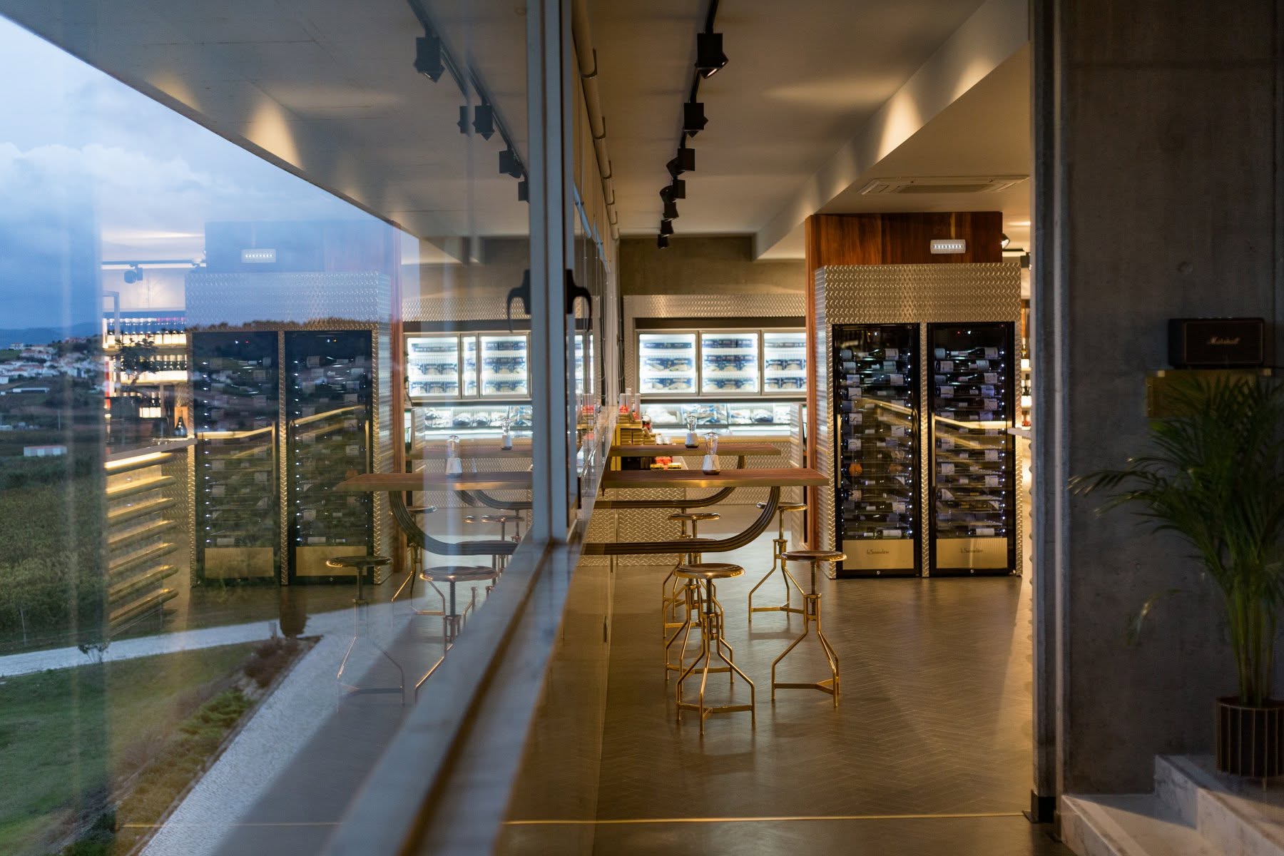 Sala de provas com garrafeiras iluminadas e bancada alta sobre a paisagem vínica