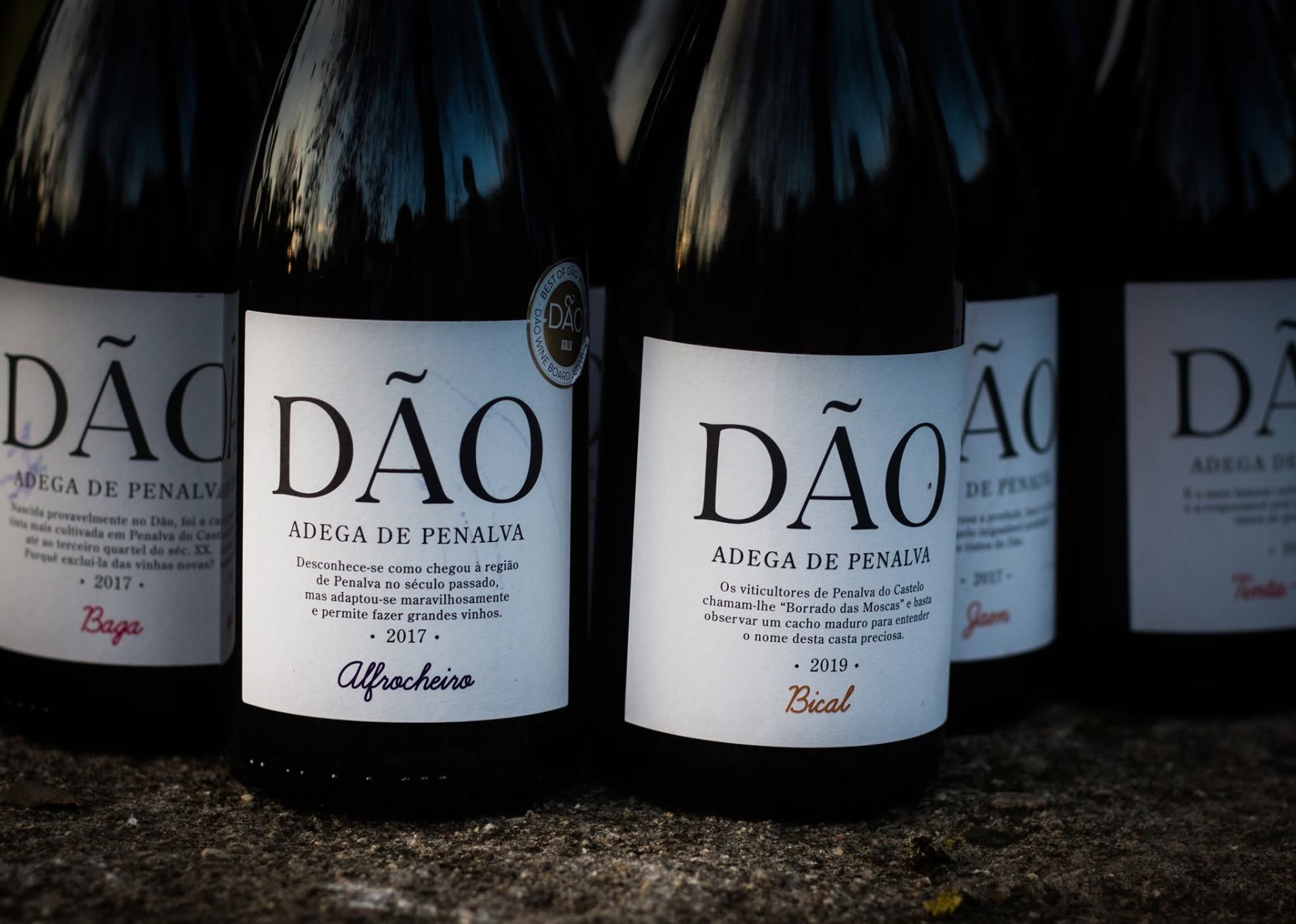 Garrafas da gama Dão da Adega de Penalva