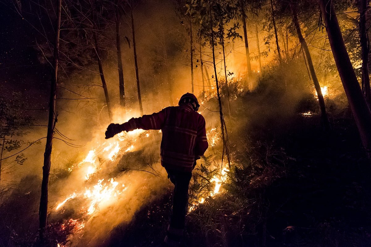 Grandes incêndios consumiram até 40% da faturação do sector de hotelaria e turismo do Centro