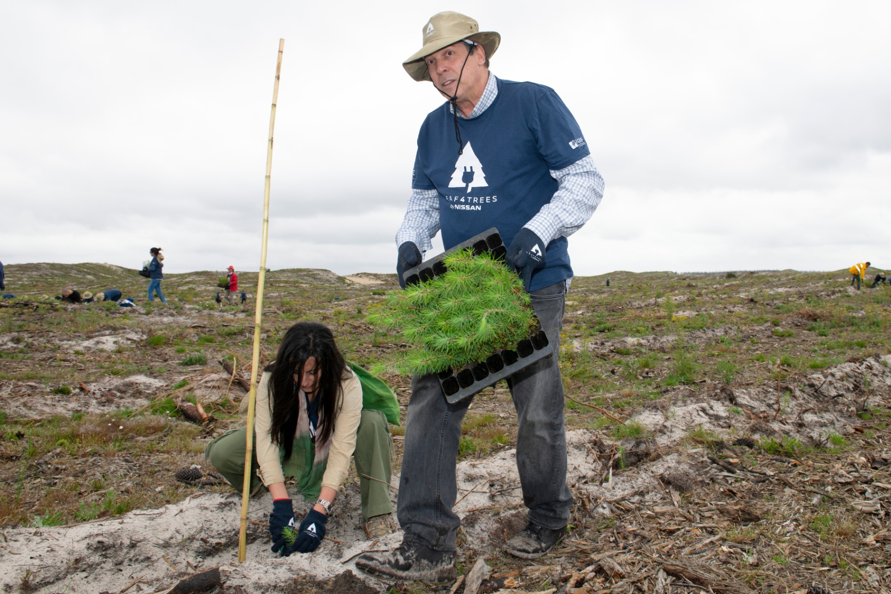 Voluntário com chapéu Leaf4Trees a transportar tabuleiro de mudas de pinheiro