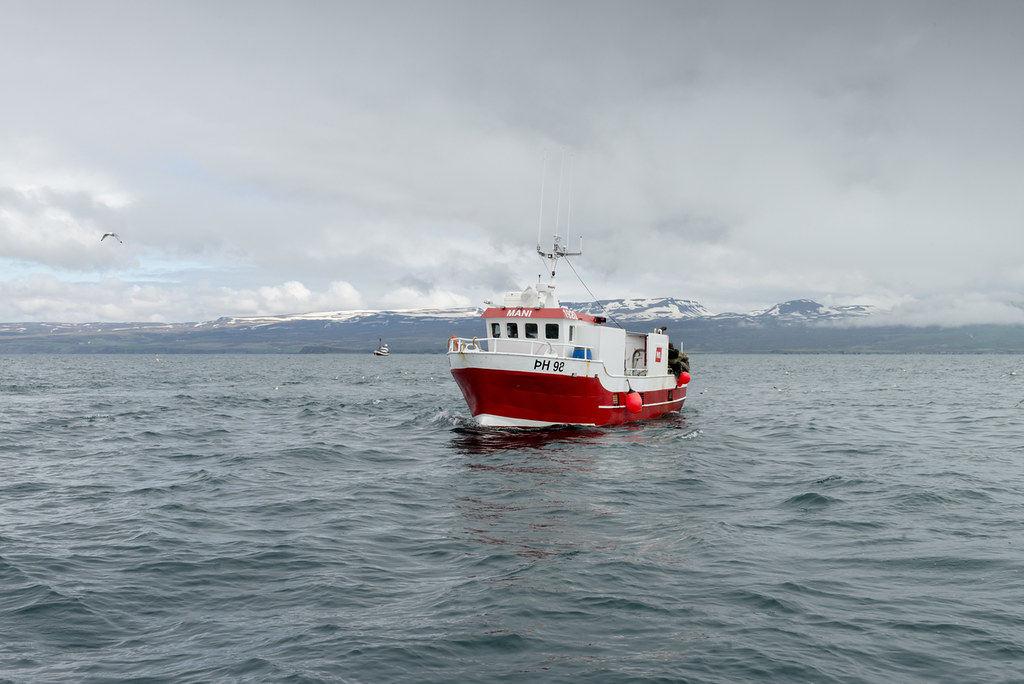 Embarcação de pesca tradicional vermelha e branca a navegar em águas frias da Islândia com montanhas nevadas ao fundo