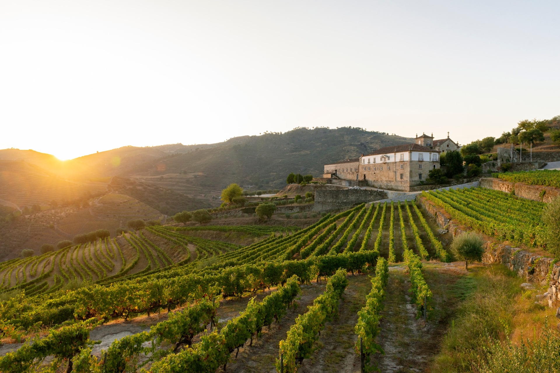 Quinta da Kranemann Wine Estates ao pôr do sol no Douro