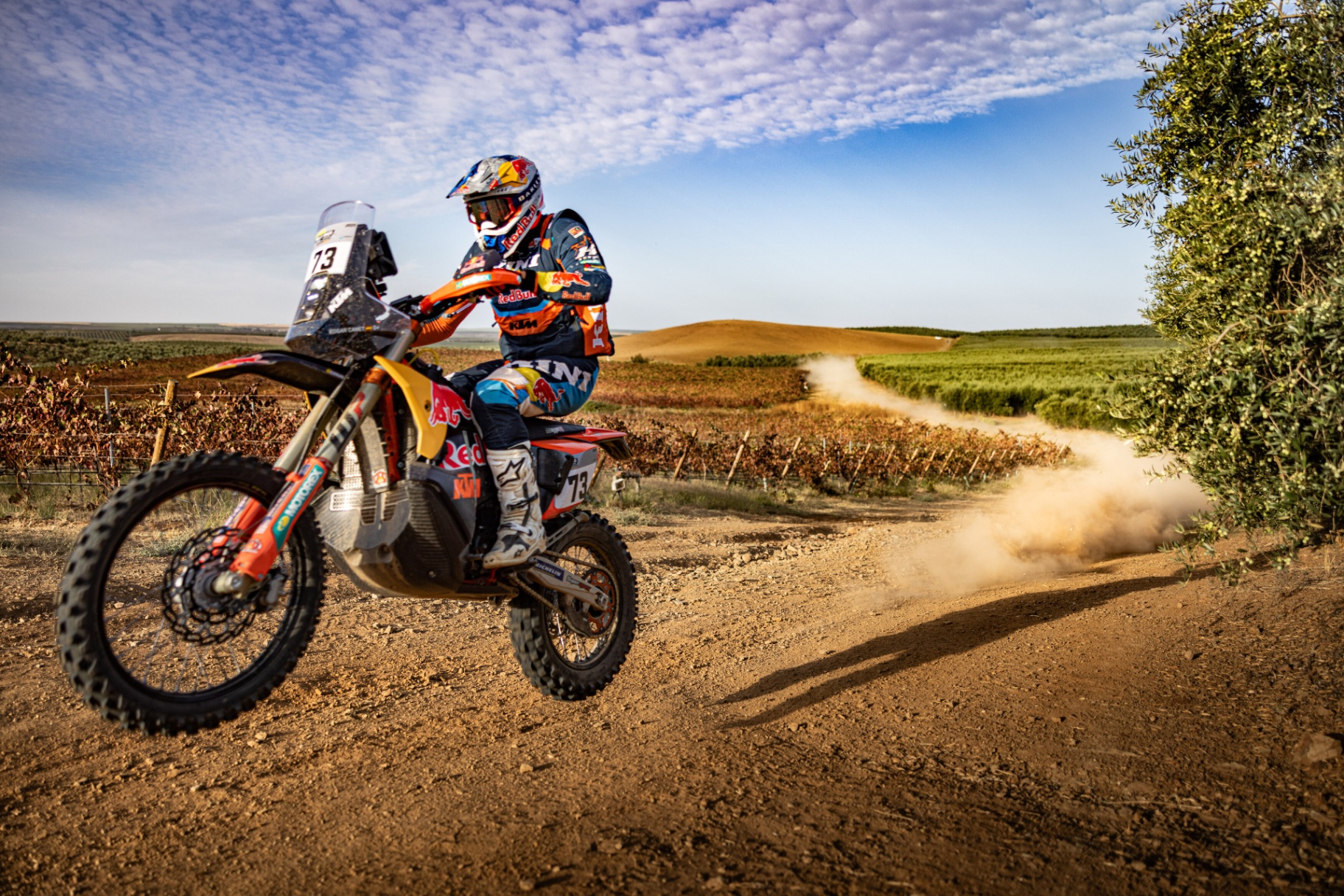 Piloto de moto KTM Red Bull em prova sobre pista de terra entre vinhas