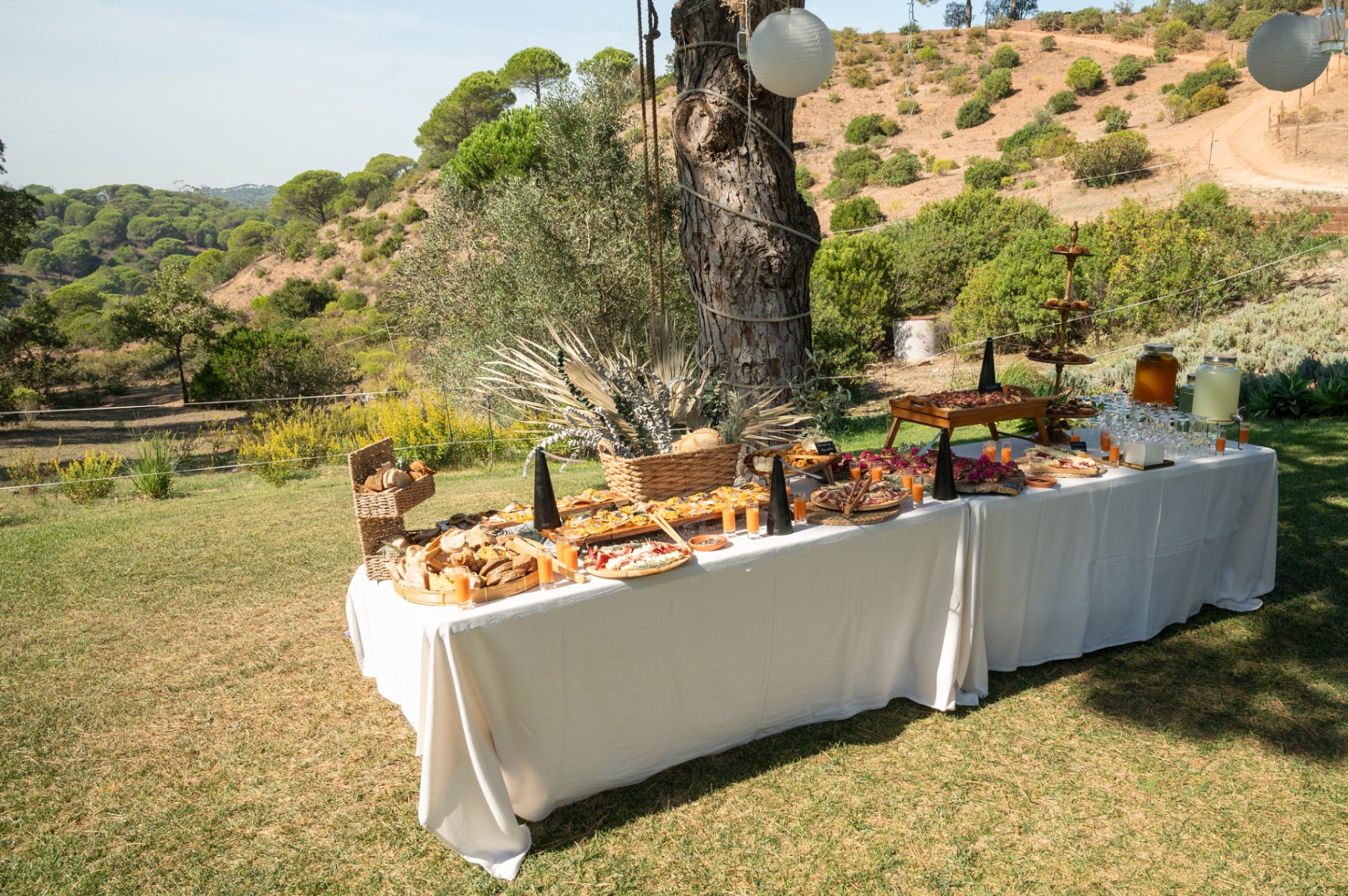 Mesa de catering com produtos regionais sob pinheiro na Serra da Arrábida