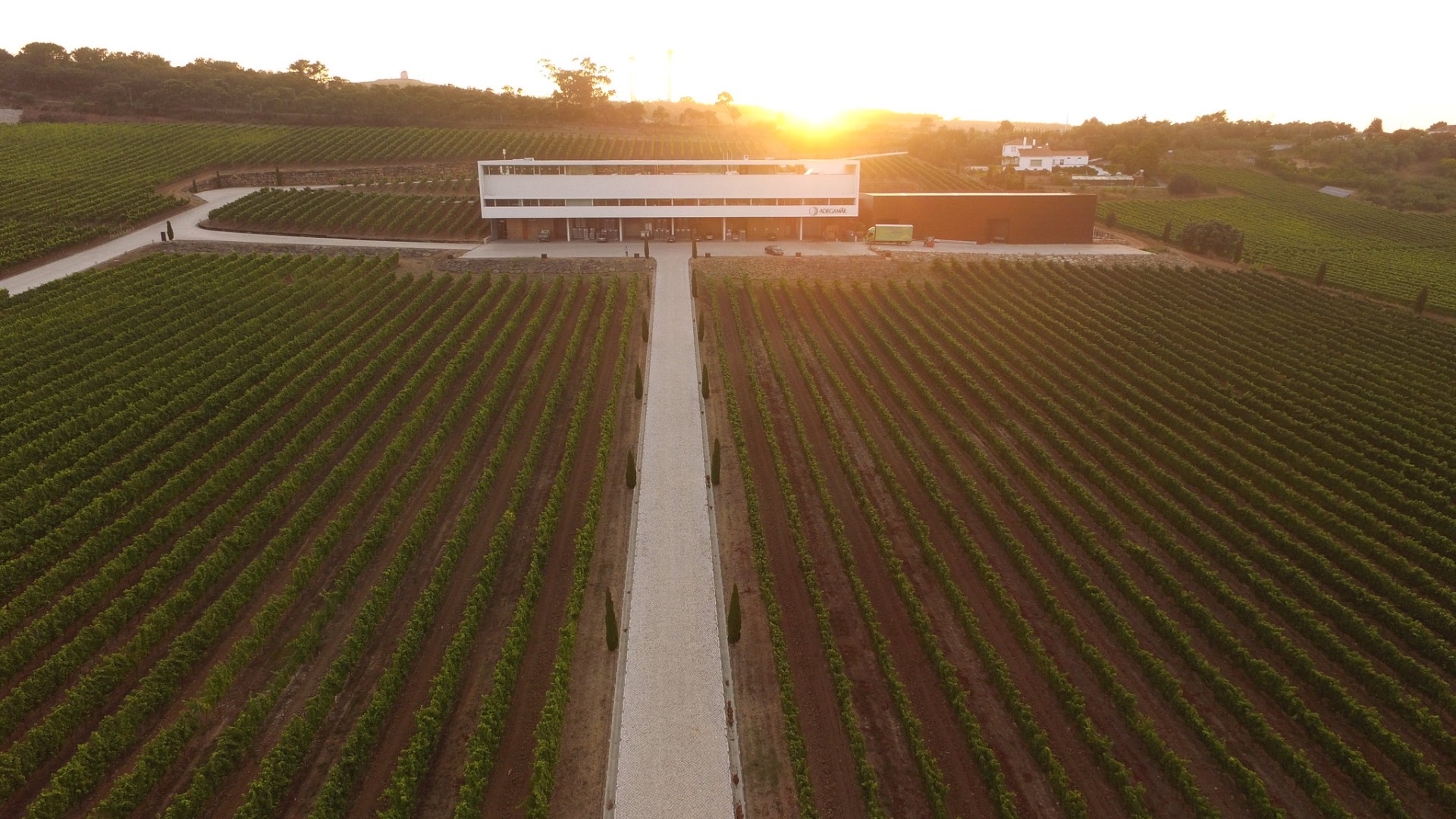 Caminho de acesso à adega entre fileiras de vinhas
