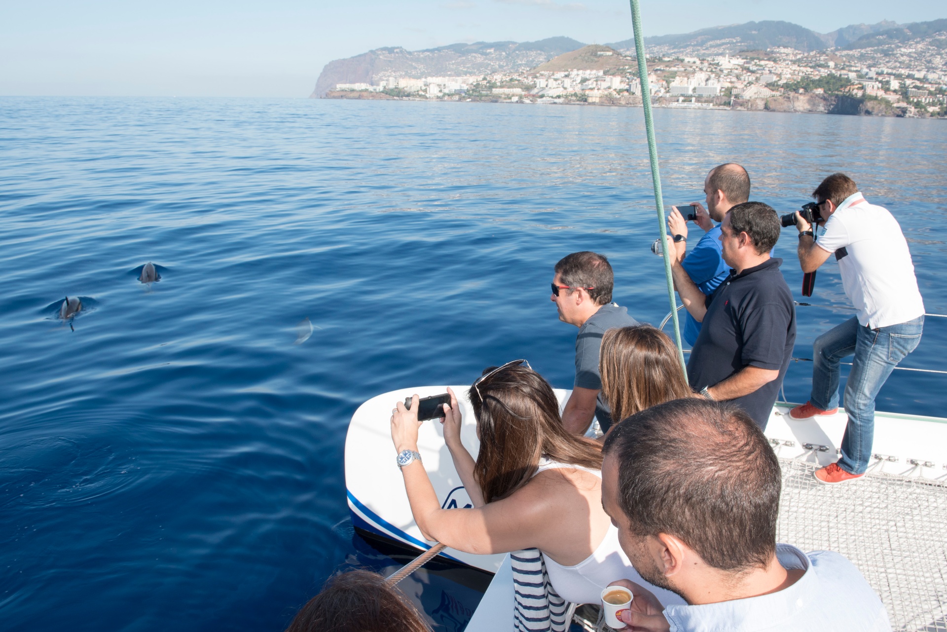 Jornalistas a fotografar golfinhos a partir de um catamarã, com o Funchal ao fundo
