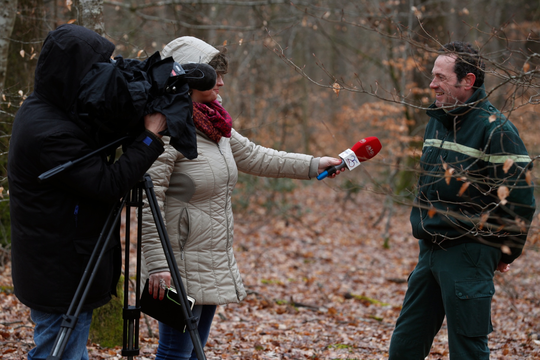 Jornalistas a entrevistar engenheiro florestal na floresta