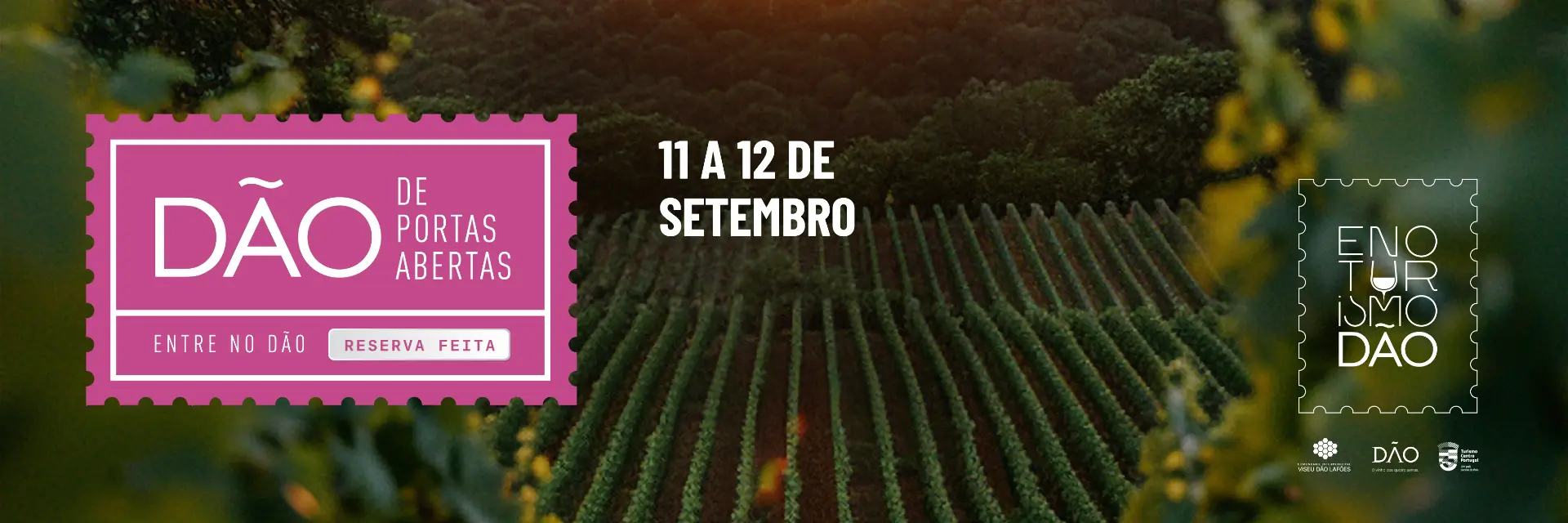 “Dão de Portas Abertas” está de regresso com programas exclusivos de Enoturismo… em plena vindima!