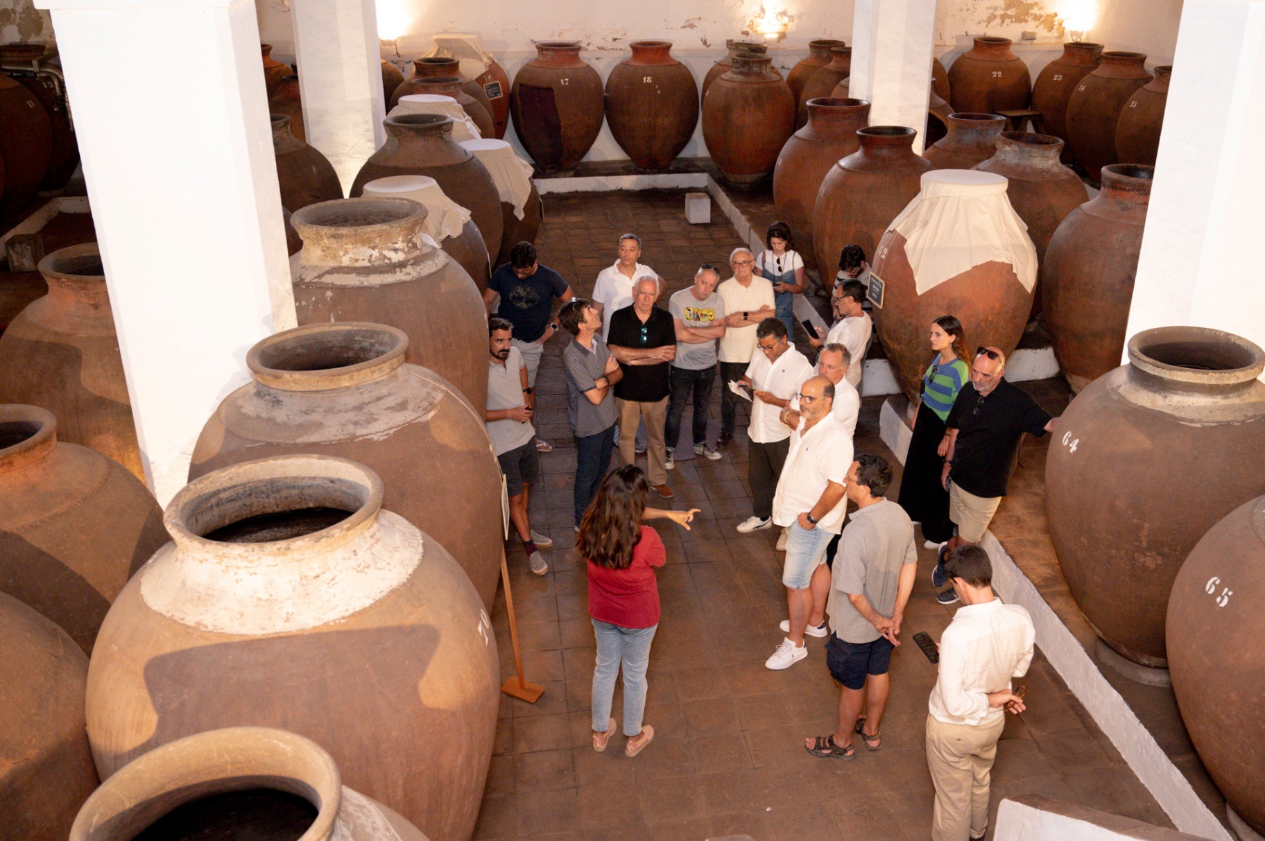 Visita guiada a adega de vinho de talha, com grandes talhas de barro em primeiro plano
