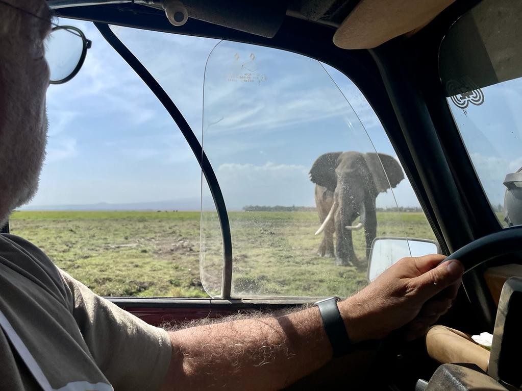 Elefante visto do interior da Renault 4L durante o Safari