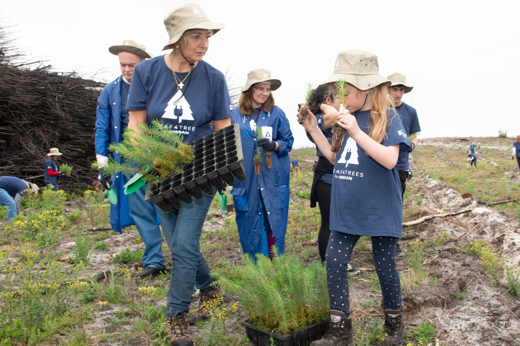 Grupo de voluntários Leaf4Trees, incluindo crianças, a manusear mudas de pinheiro