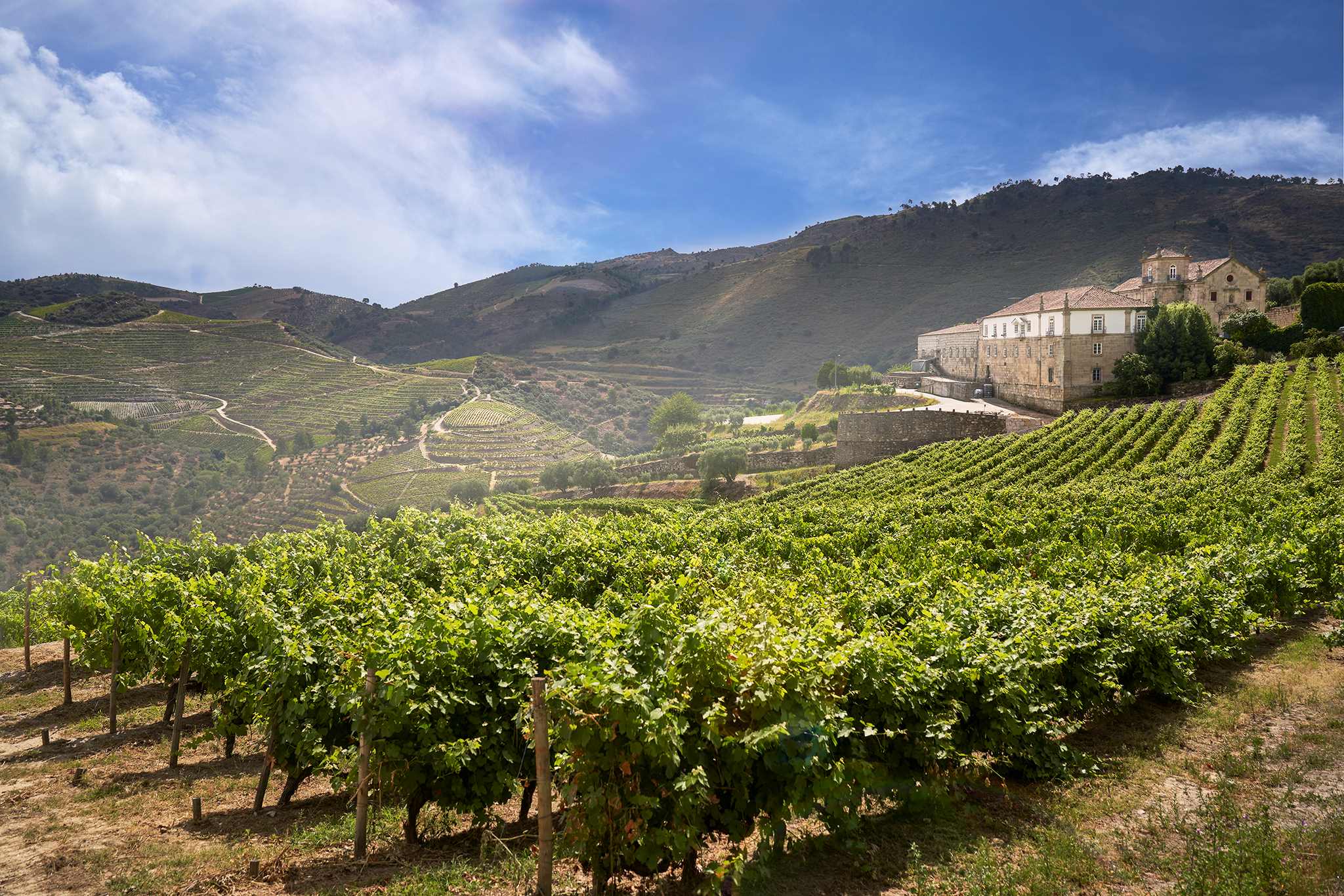 Kranemann Wine Estates reforça Programa de Enoturismo na centenária Quinta do Convento de São Pedro das Águias